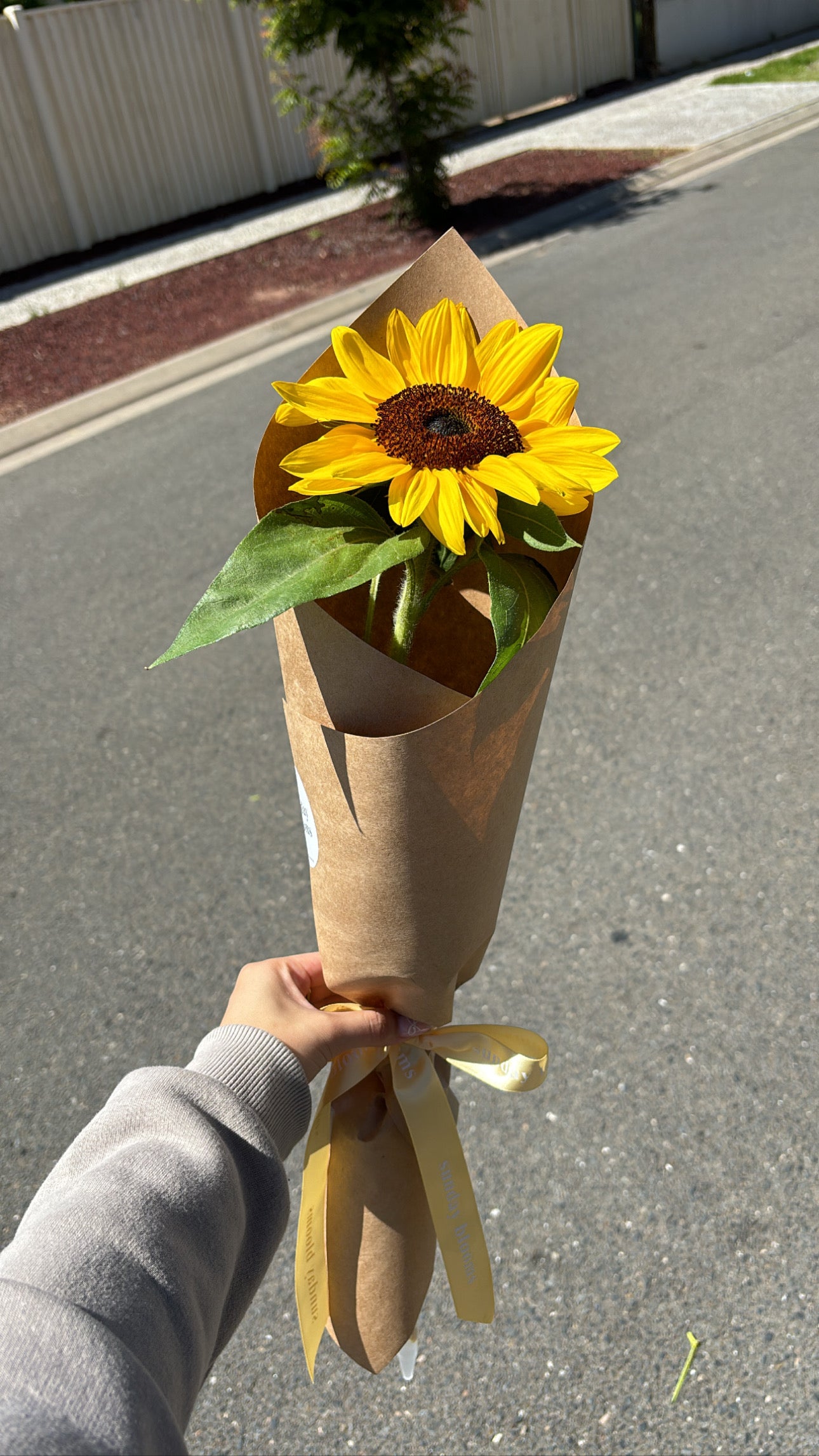 Sunflowers